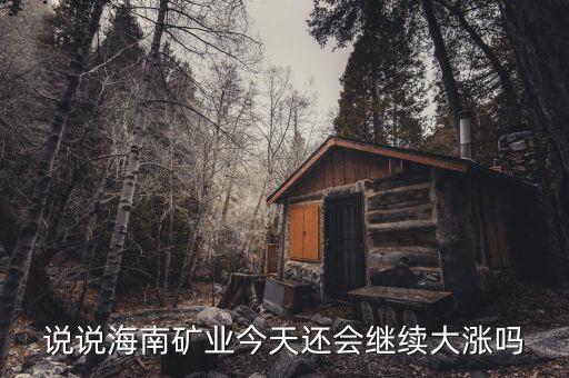 說(shuō)說(shuō)海南礦業(yè)今天還會(huì)繼續(xù)大漲嗎