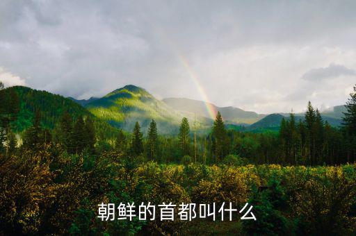 朝鮮總統(tǒng)府叫什么，朝鮮元首有專門的住所嗎有的話在哪