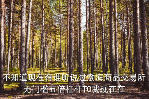 渤海商品多少倍杠桿是什么意思，專(zhuān)業(yè)做期貨的口中所謂幾倍杠桿幾倍杠桿到底是啥意思