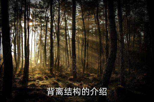 什么是帶結(jié)構(gòu)的背離，背離結(jié)構(gòu)的介紹