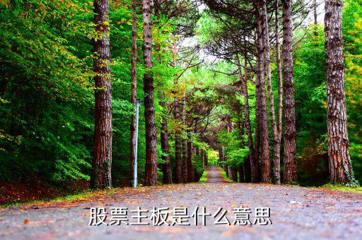 股市主板是什么，股市主板具體指什么