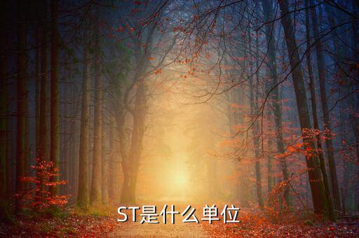 縮寫st表示什么數(shù)量單位，ST是什么單位