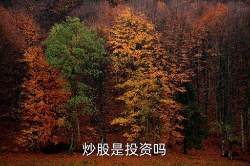炒股算投資還是什么，炒股是投資嗎