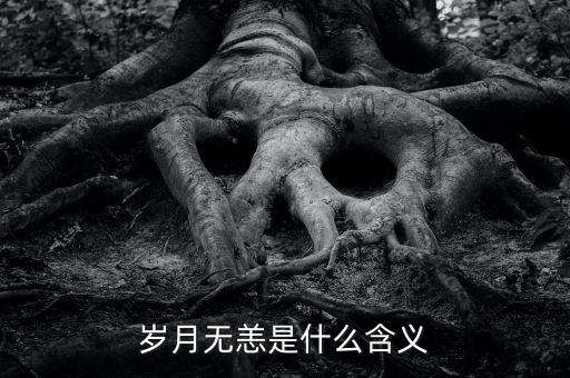 aapl是什么意思，PRQ是什么意思