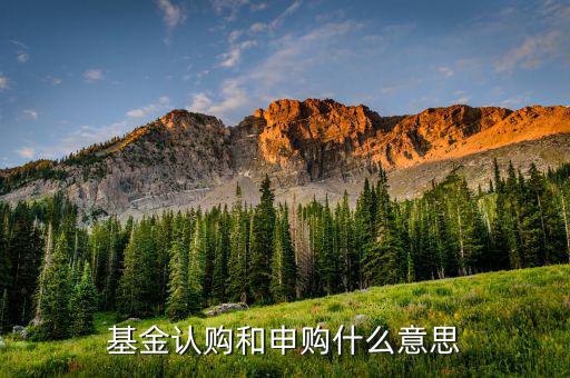 基金認(rèn)申購(gòu)什么意思，基金中的認(rèn)購(gòu)是什么意思
