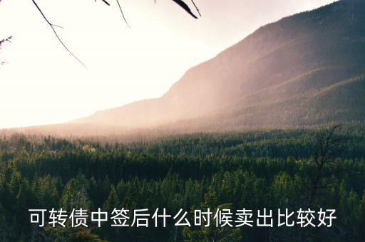 可轉(zhuǎn)債一般什么時(shí)候賣(mài)出，中國(guó)銀行可轉(zhuǎn)債什么時(shí)候能賣(mài)出