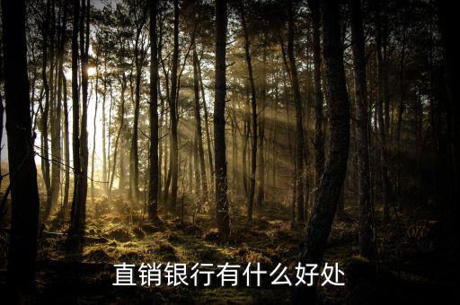浦發(fā)直銷銀行能干什么，銀行直銷部是做什么的