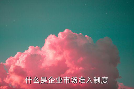 市場準(zhǔn)入制度指什么，差別化市場準(zhǔn)入制度是什么意思