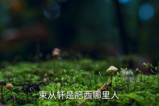 朱從玖肥西什么地方人，kimson肥西是哪里人