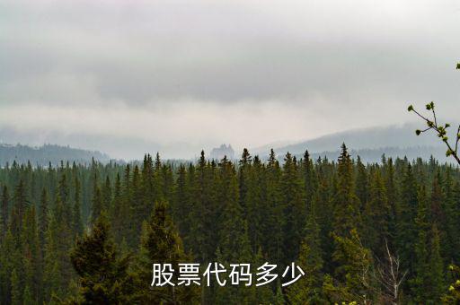 b股代碼以什么開(kāi)頭，a股和b股代碼怎樣區(qū)分