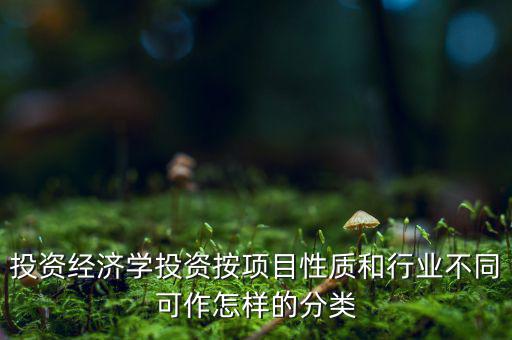 什么是公共消費性投資，如何理解消費投資