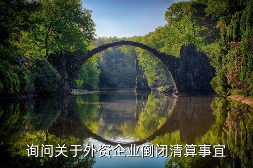 沈陽(yáng)投資公司跑路市政府什么解決，詢問(wèn)關(guān)于外資企業(yè)倒閉清算事宜