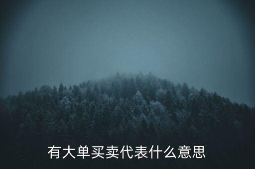 在買5成交有大單是什么意思，股票中大單是什么意思