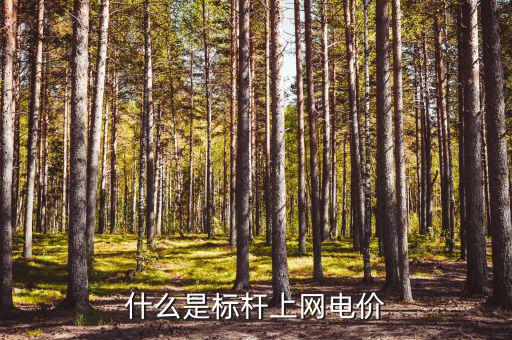 什么是標桿電價，什么是標桿上網(wǎng)電價
