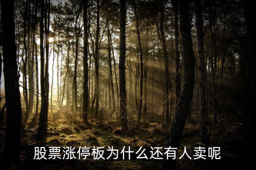 為什么已經(jīng)漲停的股票那么多人買，當(dāng)天漲停的股票為什么還有那么多人買入跟進(jìn)呢