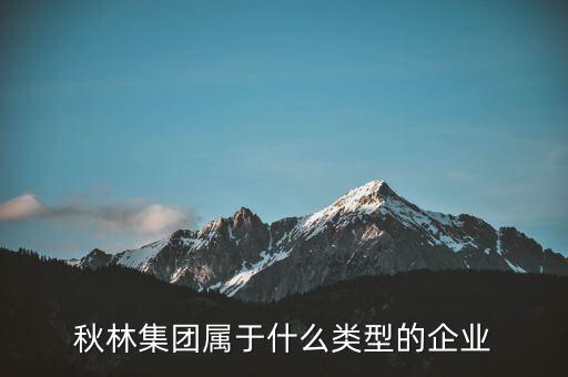 秋林集團是什么板塊，秋林集團屬于什么類型的企業(yè)