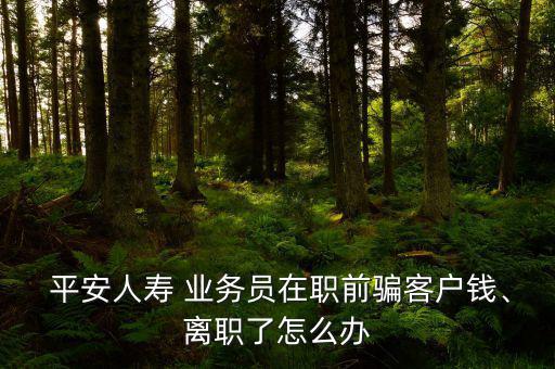  平安人壽 業(yè)務(wù)員在職前騙客戶錢、離職了怎么辦