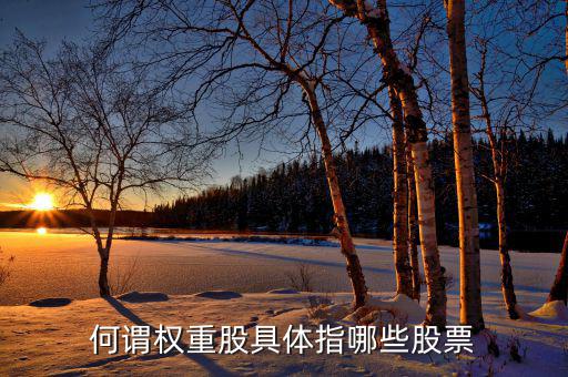 什么叫權(quán)重股，權(quán)重股與小盤股的區(qū)別在那兒我想數(shù)下有多少權(quán)重股有多少小盤股