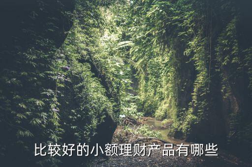 有什么小額理財(cái)產(chǎn)品，小額理財(cái)投資產(chǎn)品有哪些