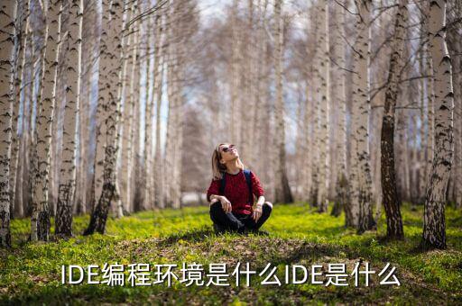 tltro是什么，虛擬內(nèi)存是什么玩意