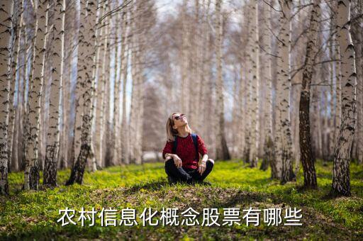 農(nóng)村富了什么股票，農(nóng)村信息化概念股票有哪些