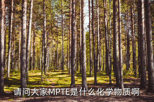 汽油的mpte是什么，汽油里MPTE是什么