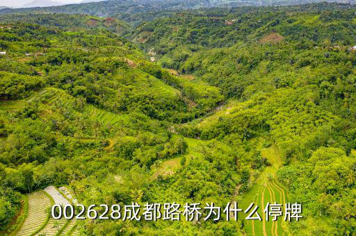成都路橋今天什么情況，今天早成都等路橋的航班有沒有停航