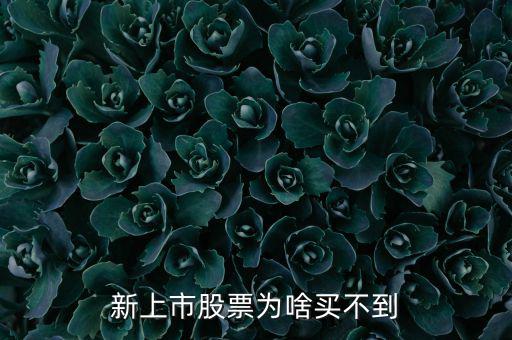 為什么新股我總買不到，新上市股票為啥買不到