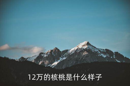 36萬(wàn)核桃長(zhǎng)什么樣，大家看這個(gè)核桃做的怎樣值多少