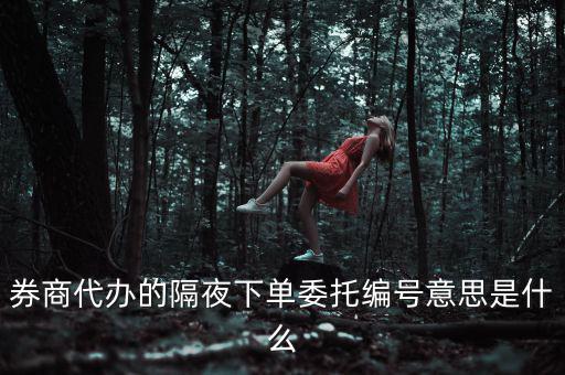 股票委托編號是什么意思，股票交易中委托編號208中208是什么意思