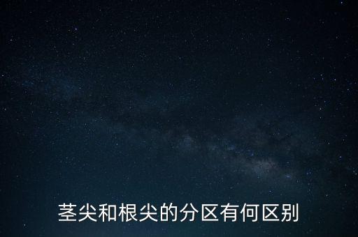 外高橋分區(qū)指按部屬于什么級(jí)別，上海市外高橋保稅區(qū)是屬于什么區(qū)