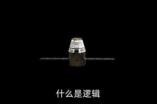 邏輯是什么，什么是邏輯