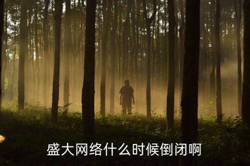 美國(guó)盛大游戲什么時(shí)間退市，盛大倒閉確切日期