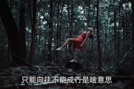 未能成行是什么意思，只能向往不能成行是啥意思