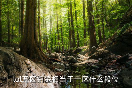 鉑金三什么水平，鉑金純度有幾個(gè)檔次