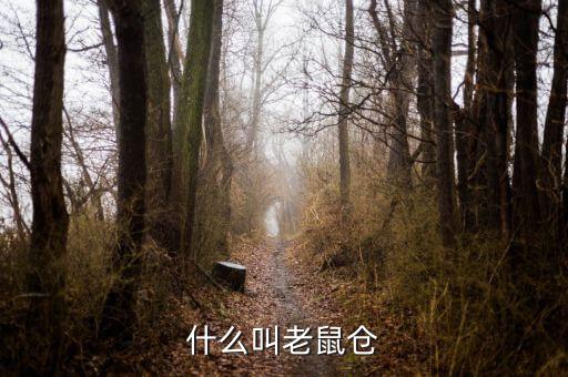 什么是老鼠倉(cāng)圖形，股票中什么是老鼠倉(cāng)呢簡(jiǎn)明即可