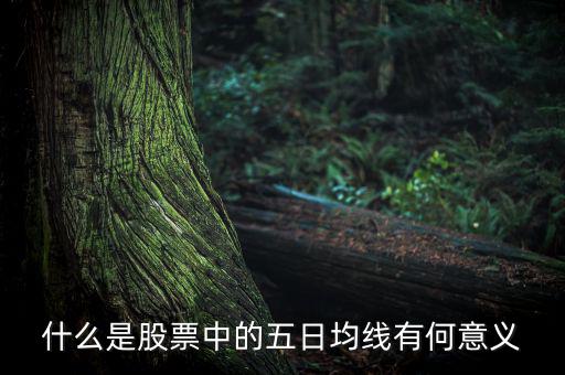 5日均線有什么用，什么是股票中的五日均線有何意義