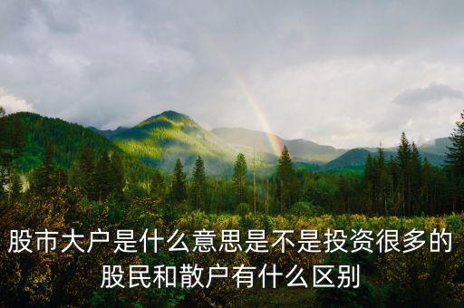 炒股大戶是什么意思，股票中的大戶是什么意思