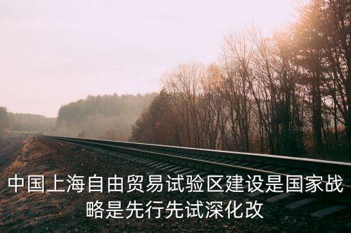 上海自貿(mào)區(qū)改革新60條是什么，建立上海自貿(mào)區(qū)屬于宏觀調(diào)控的哪個手段