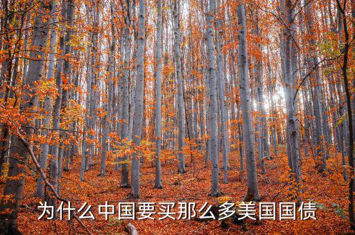 為什么要買美國國債，為什么要買那么多美國國債