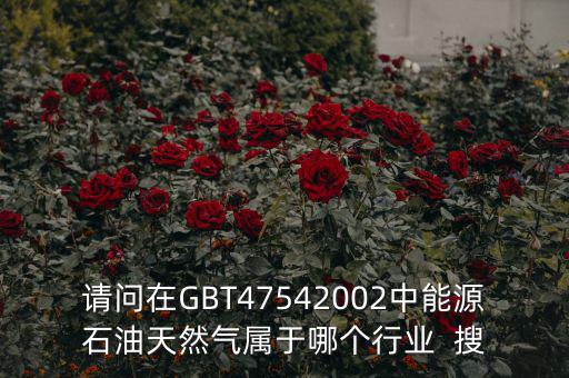 請(qǐng)問在GBT47542002中能源石油天然氣屬于哪個(gè)行業(yè)  搜