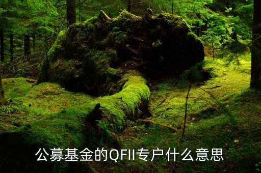 公募專戶是什么意思，什么是基金專戶