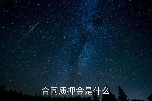 質(zhì)押金是什么，期貨中的質(zhì)押金是什么意思