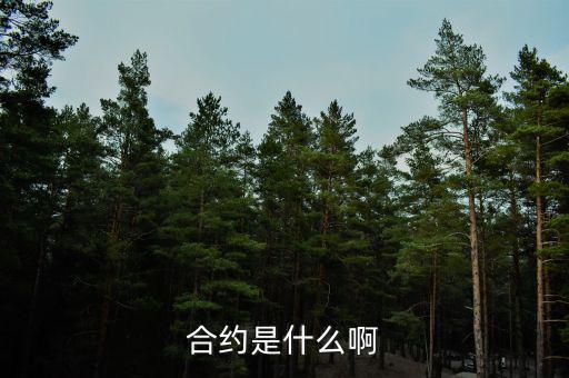 合約是什么意思，合約的意思是什么