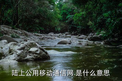 什么是公共碼頭運營商，什么是運營商