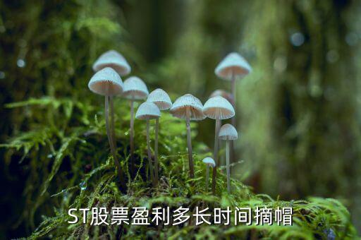 st什么時(shí)候能摘帽，ST船舶什么時(shí)候可以摘帽
