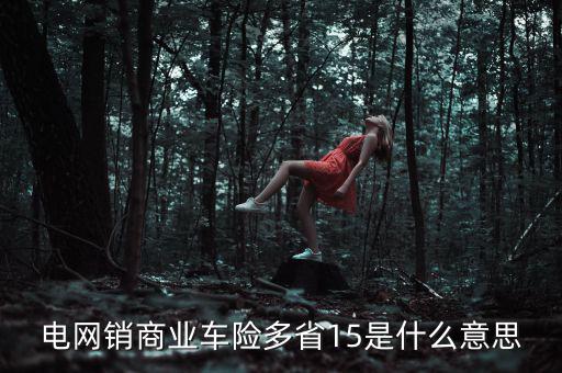 電網(wǎng)銷是什么意思，電網(wǎng)銷商業(yè)車險多省15是什么意思