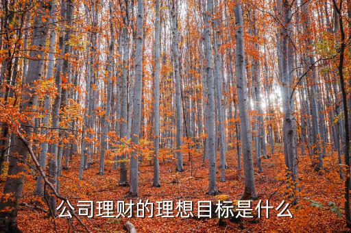 理財目標是什么，公司理財?shù)睦硐肽繕耸鞘裁?/></a></span><span id=