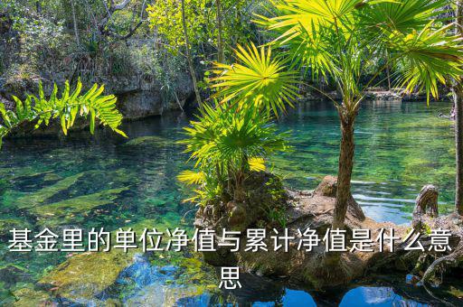 基金凈值和累計凈值是什么，基金里的單位凈值與累計凈值是什么意思