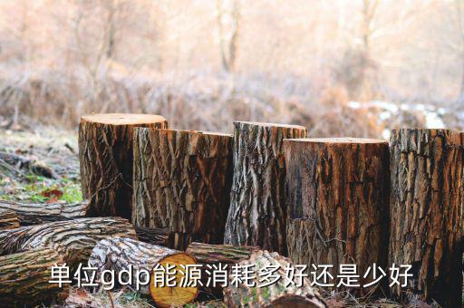 單位GDP越高說(shuō)明什么，GDP代表著什么